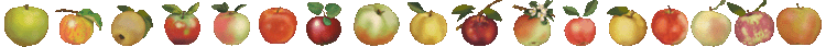 Heirloom Apples